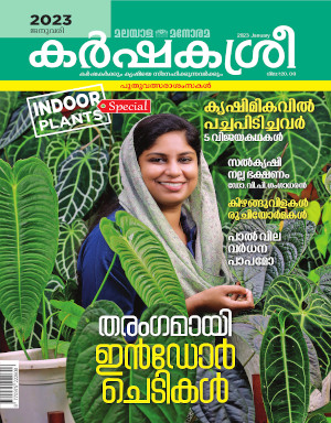 magazine-cover-pic