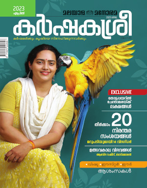 magazine-cover-pic