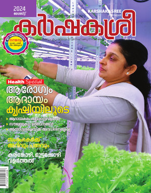 magazine-cover-pic